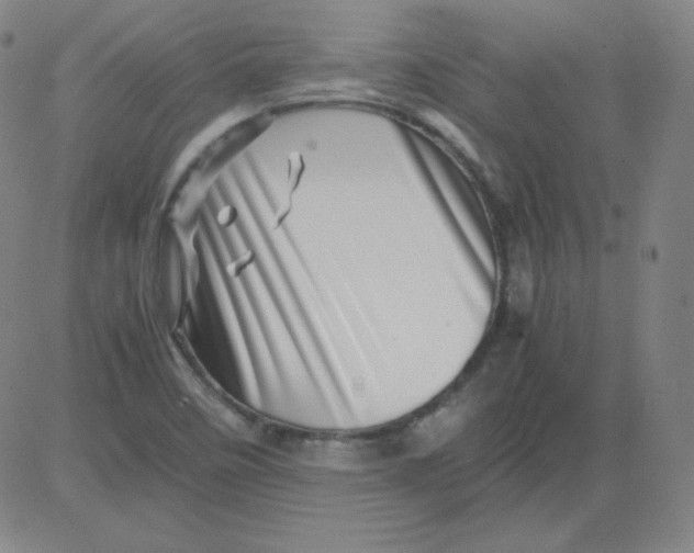 X0000081491458200702021911