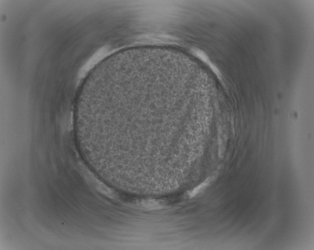 X0000081491459200702021911