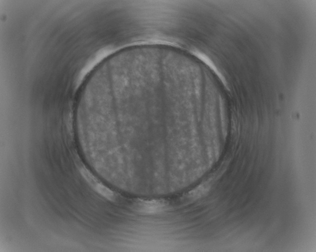 X0000081491460200702021911