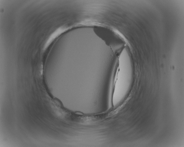 X0000081491461200702021911