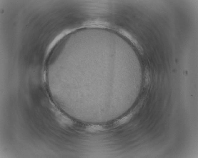 X0000081491462200702021911