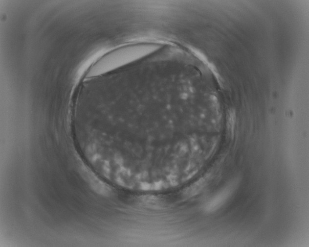 X0000081491463200702021911