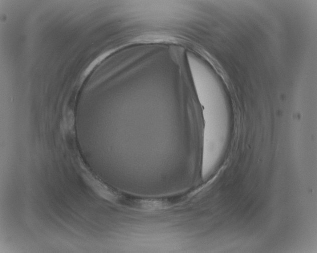 X0000081491465200702021910