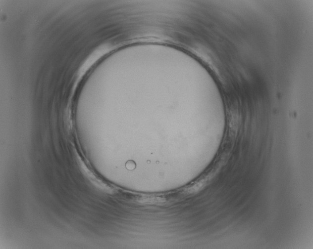 X0000081491466200702021910