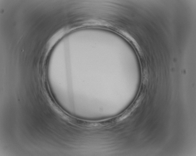 X0000081491467200702021910