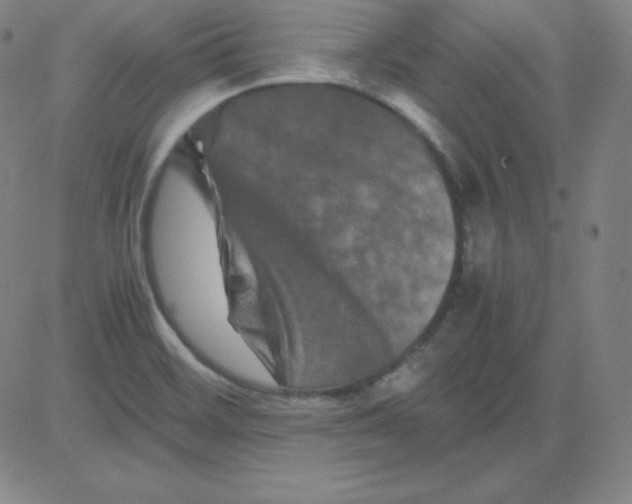 X0000081491468200702021910