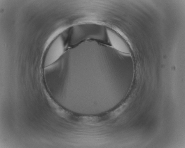 X0000081491469200702021910