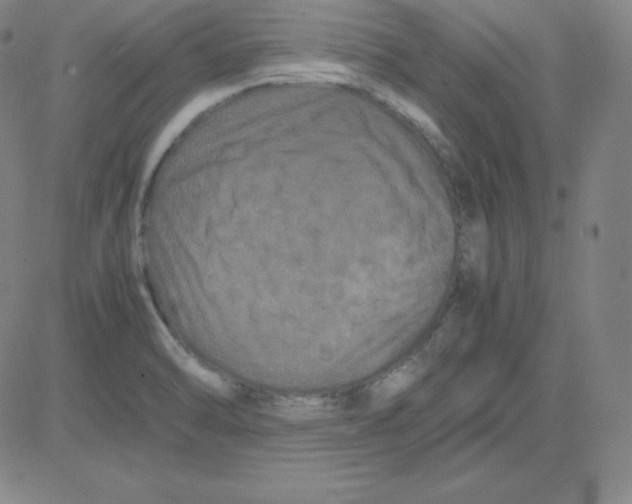 X0000081491470200702021910