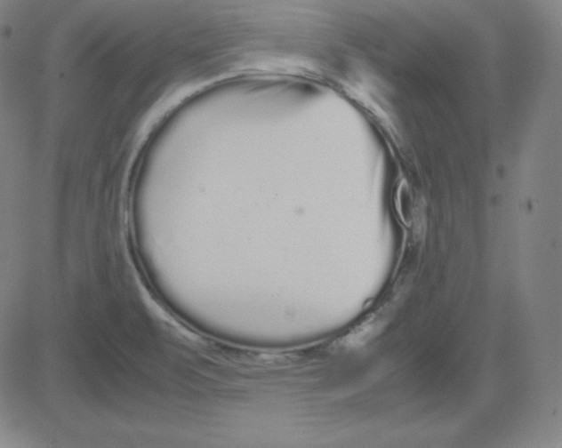 X0000081491471200702021910