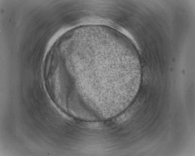 X0000081491472200702021910