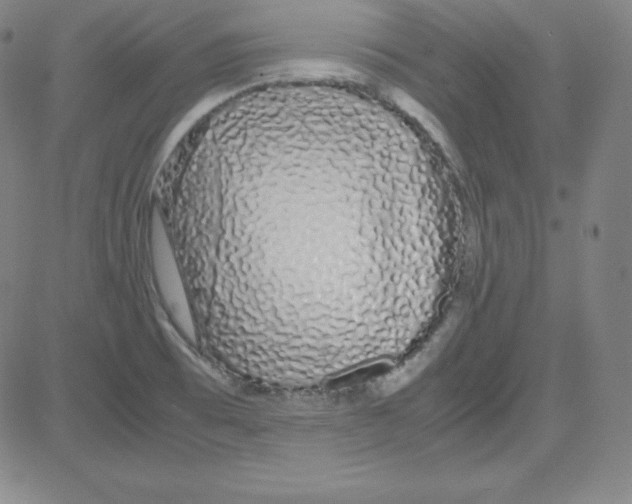 X0000081491473200702021910