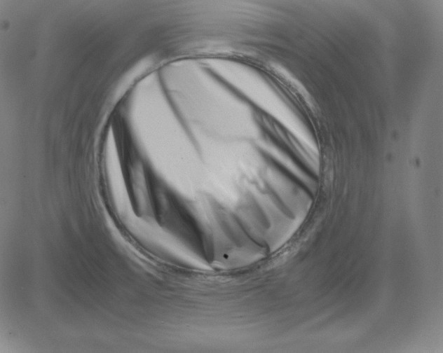 X0000081491475200702021910