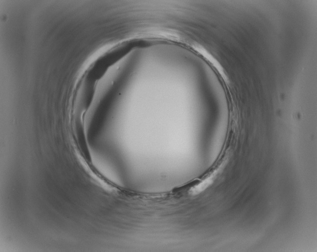 X0000081491477200702021910