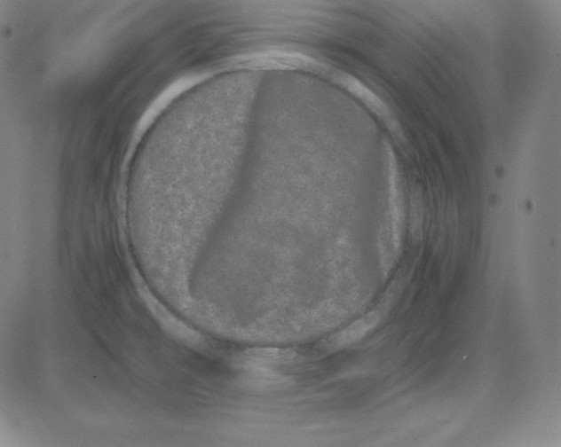 X0000081491478200702021910