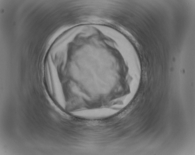 X0000081491479200702021910