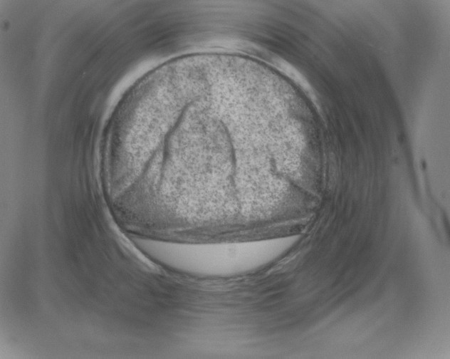 X0000081491480200702021910