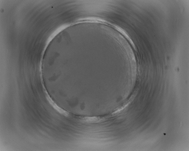 X0000081491482200702021910