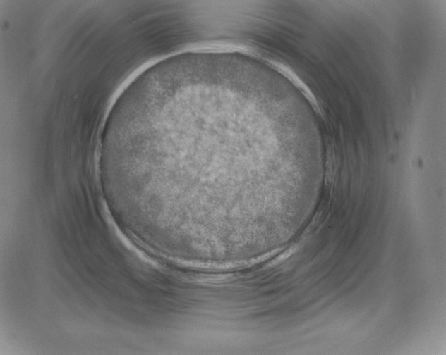 X0000081491484200702021910