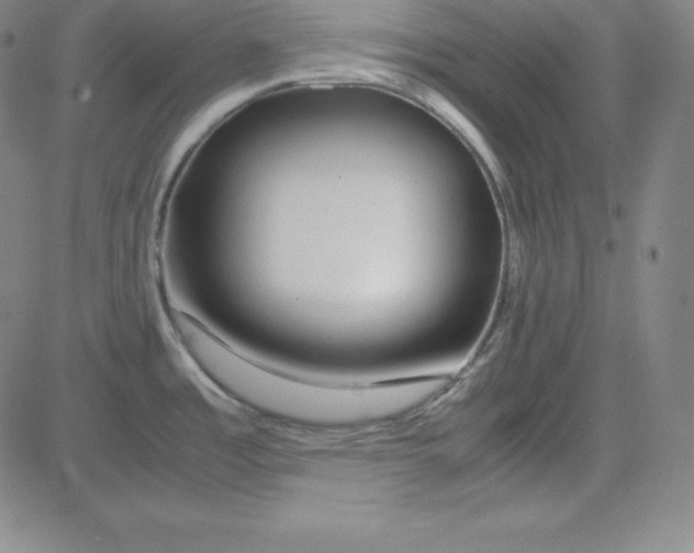 X0000081491485200702021910