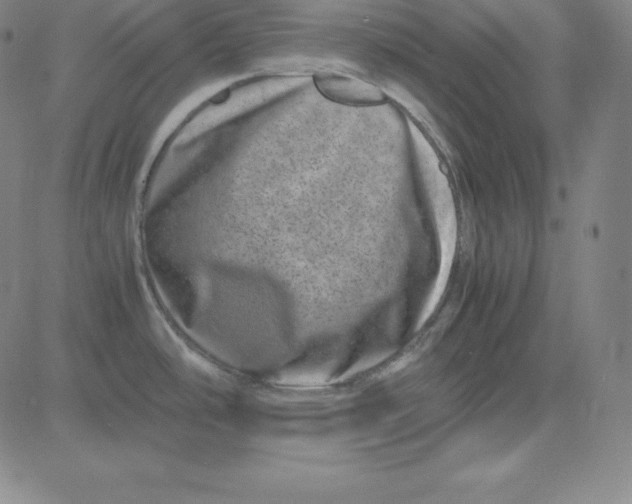 X0000081491486200702021910