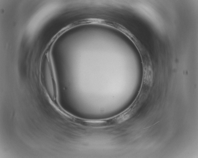 X0000081491487200702021910