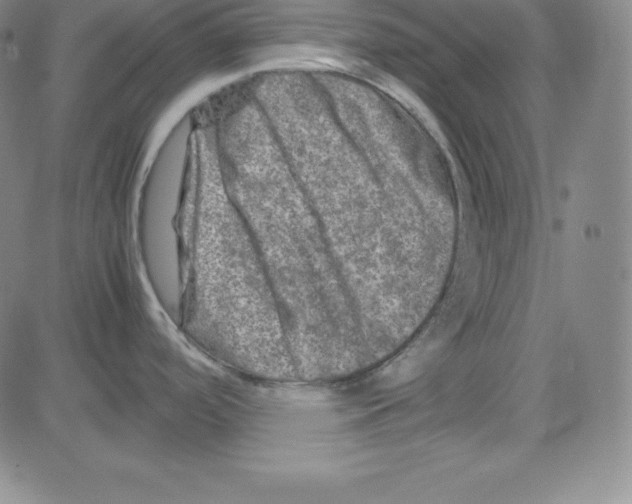 X0000081491488200702021910