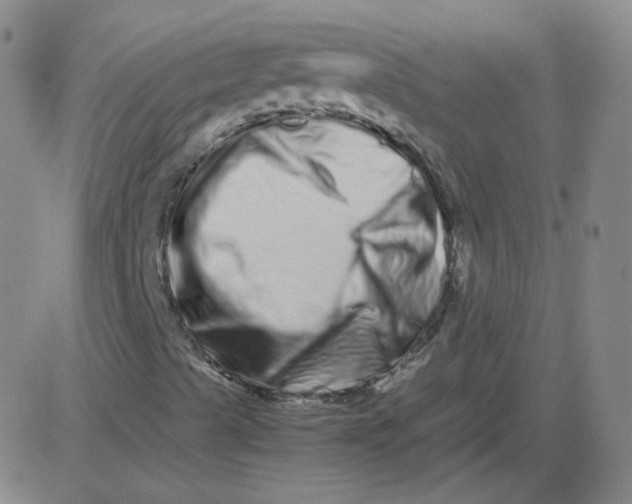 X0000081491489200702021909