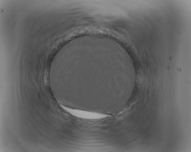 X0000081491490200702021909