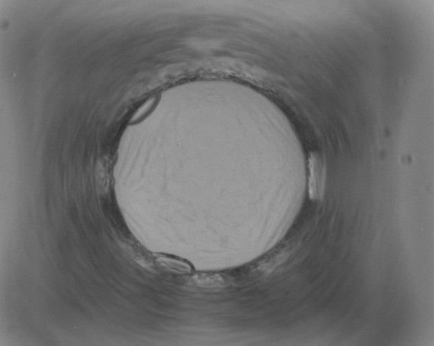 X0000081491491200702021909