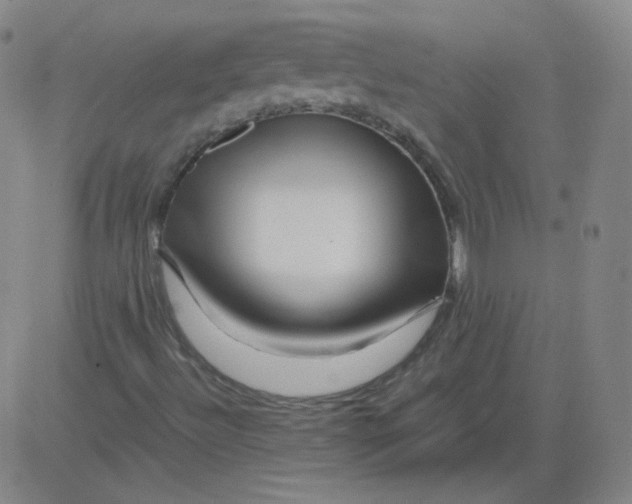 X0000081491492200702021909