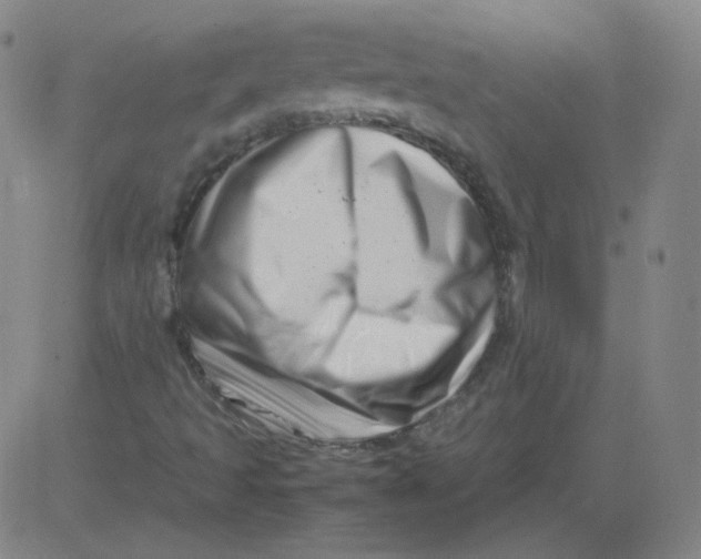 X0000081491493200702021909