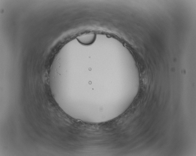 X0000081491495200702021909