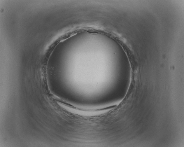 X0000081491496200702021909