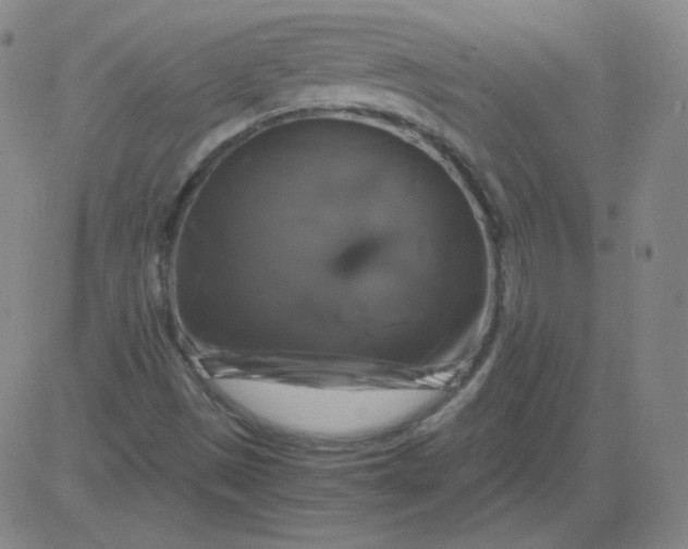 X0000081491497200702021909