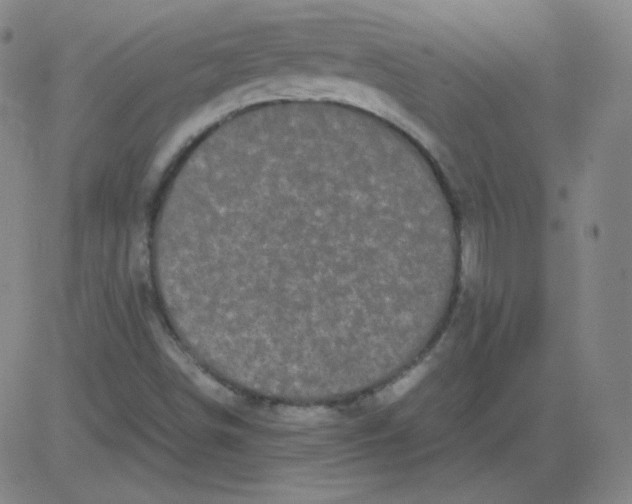 X0000081491498200702021909