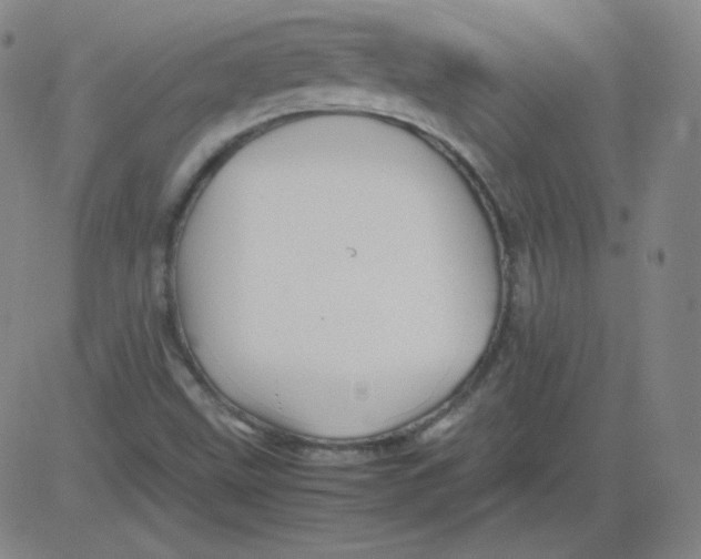 X0000081491499200702021909