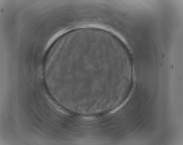 X0000081491501200702021910