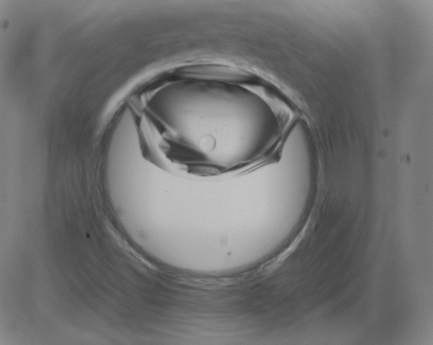 X0000081491502200702021910