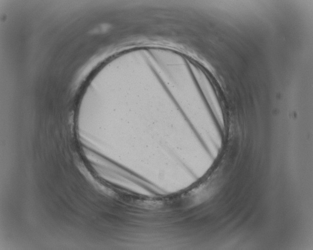 X0000081491503200702021910