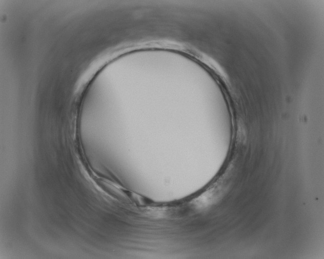 X0000081491504200702021910