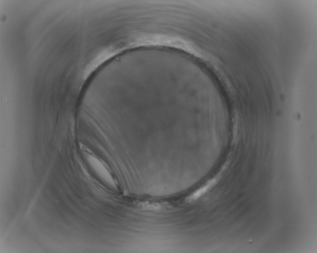 X0000081491505200702021910