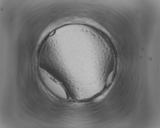 X0000081491506200702021910