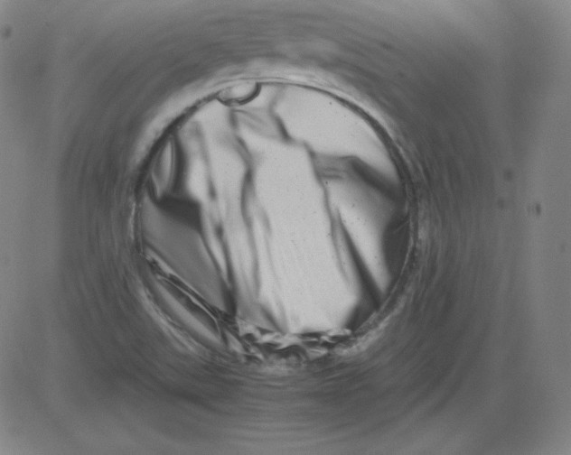 X0000081491507200702021910