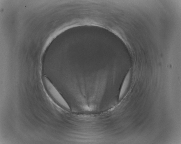 X0000081491508200702021910