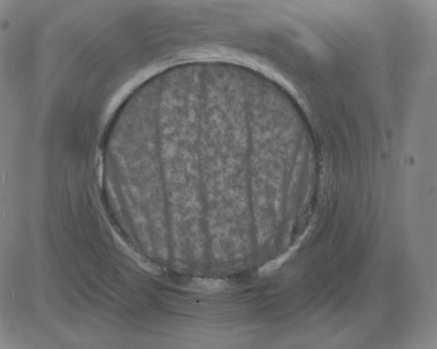 X0000081491509200702021910