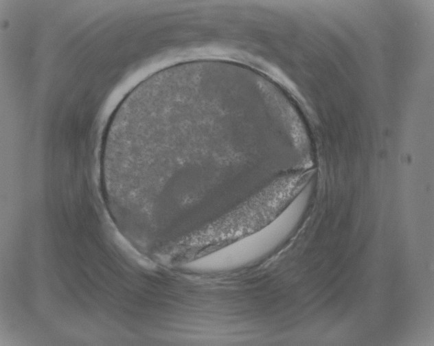 X0000081491512200702021910