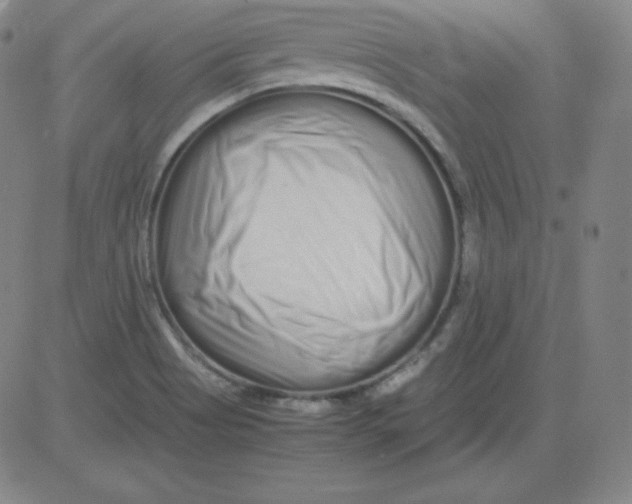 X0000081491513200702021910