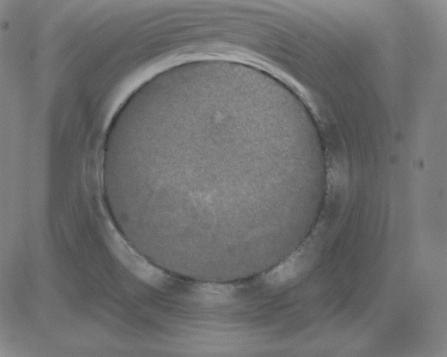 X0000081491514200702021910