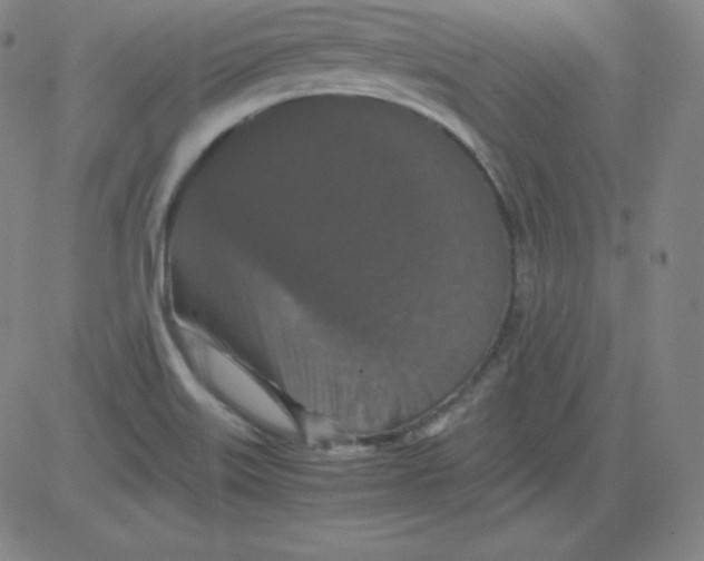 X0000081491515200702021910