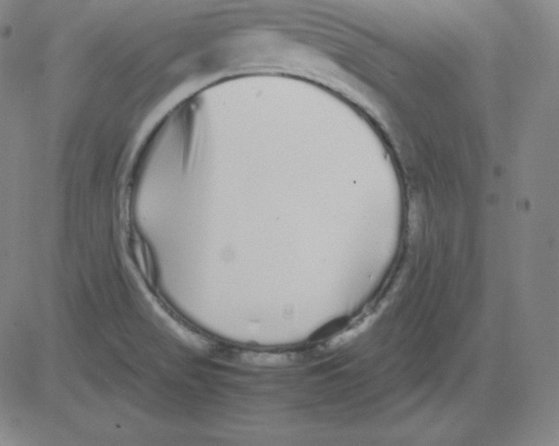 X0000081491517200702021910